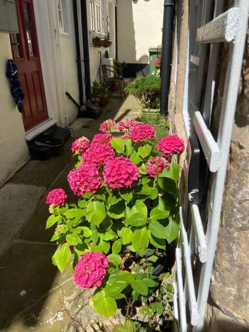 Cosy 400yr Old Cottage, Flowergate, Whitby, Sleeps 6 *